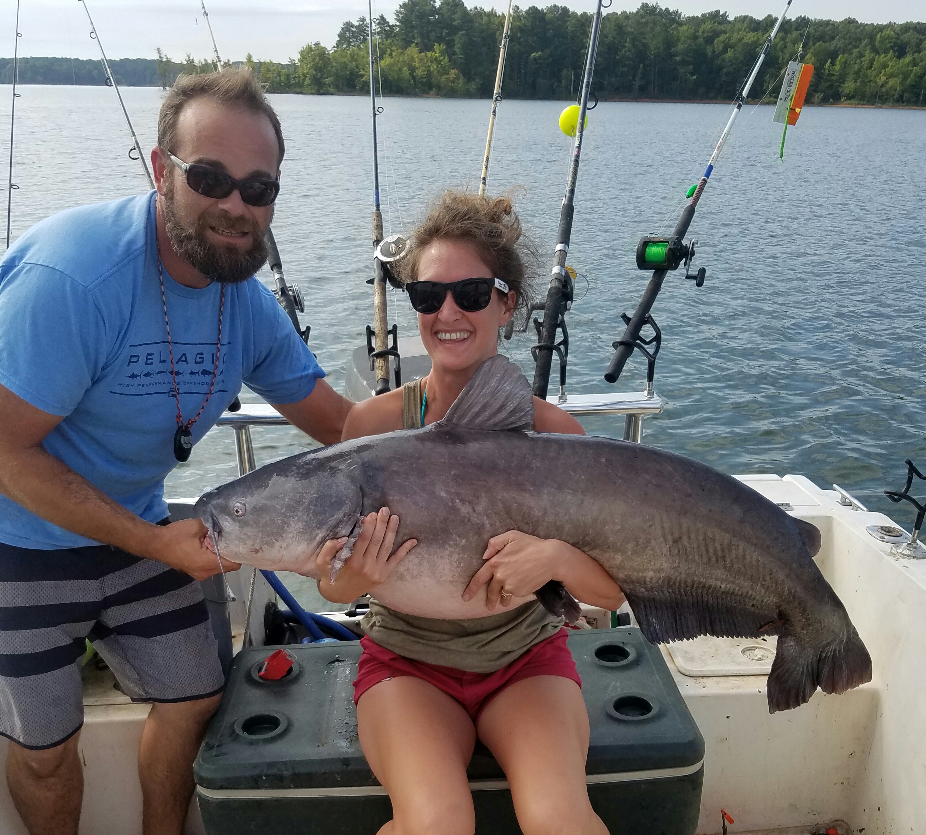 Lake Wylie's blue catfish are there for the taking, if you go to