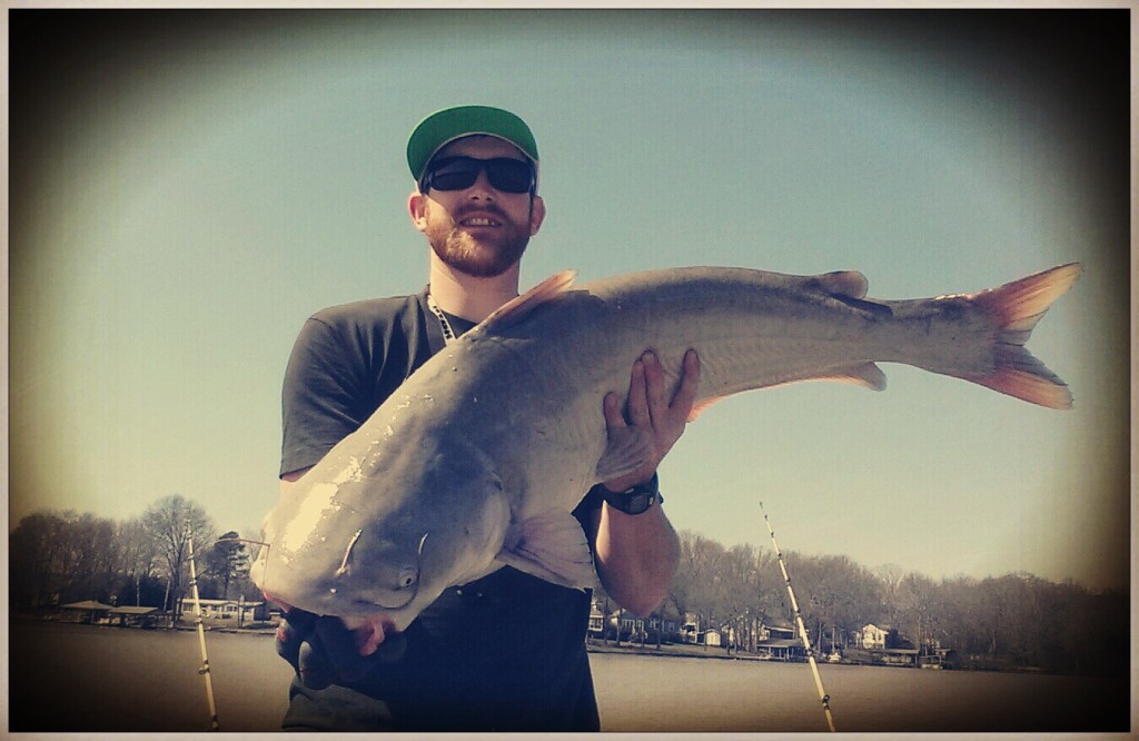 40 pound blue catfish